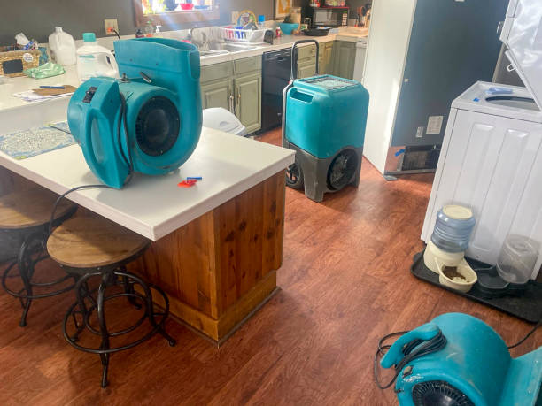 Best Water damage restoration services  in Andrews, NC