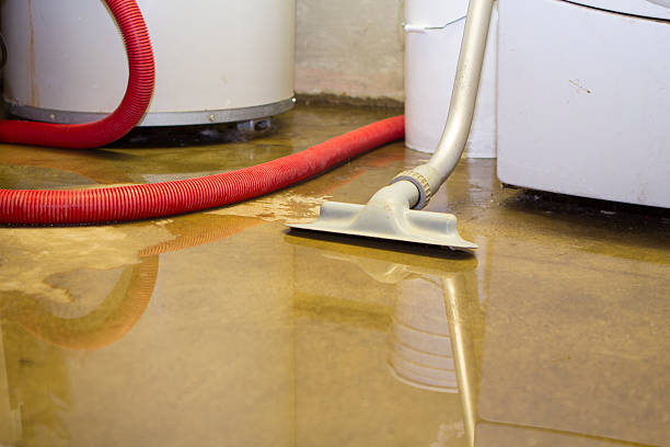 Best Flooded house restoration  in Andrews, NC