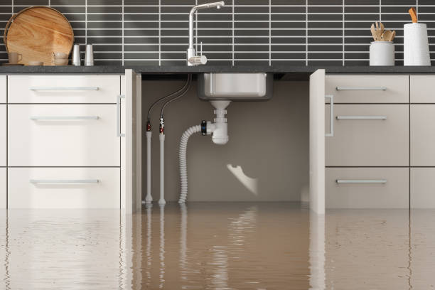 Best Local water damage restoration  in Andrews, NC