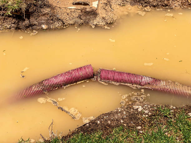 Best Water damage restoration near me  in Andrews, NC